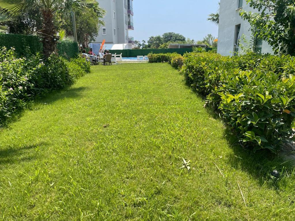 Yelken Apart Hotel Antalya Buitenkant foto
